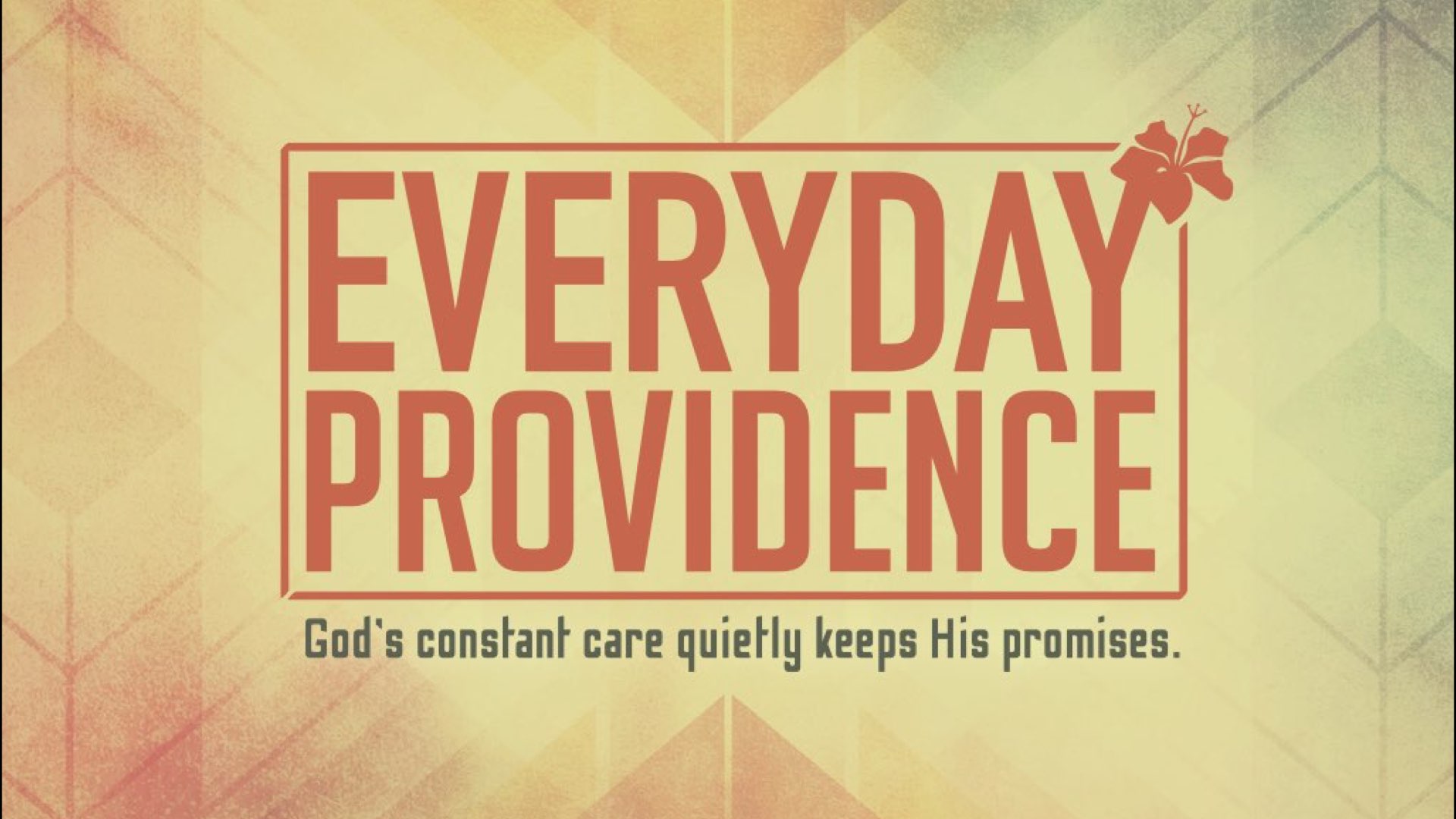 Everyday Providence episode artwork